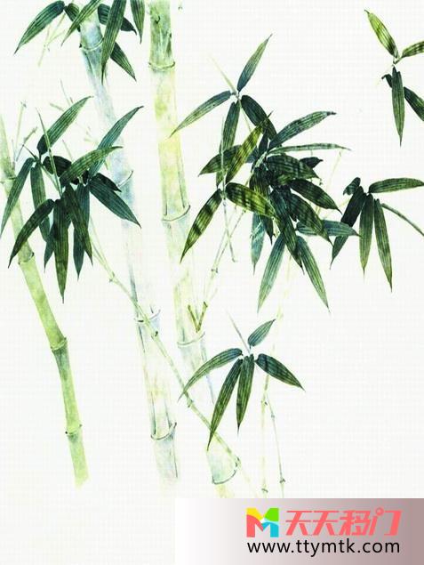 竹子绿色清新移图 茂盛的青竹GE-8007